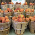 Orr's Farm Market Peaches