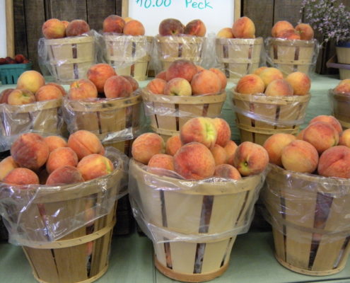 Orr's Farm Market Peaches