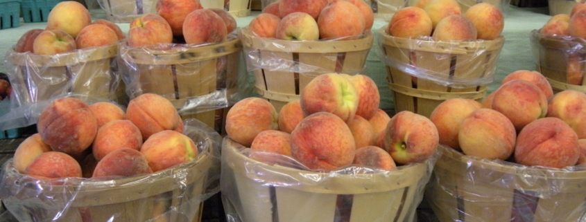 Orr's Farm Market Peaches