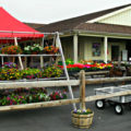 flowers-market