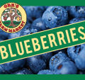 Pick Your Own Blueberries