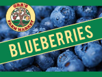 Pick Your Own Blueberries