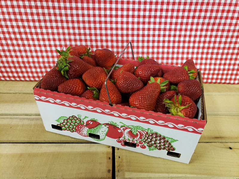 PYO Strawberries Half Peck Basket