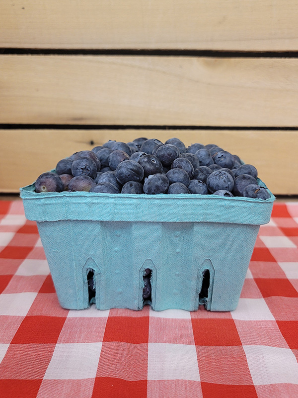 Blueberry Quart