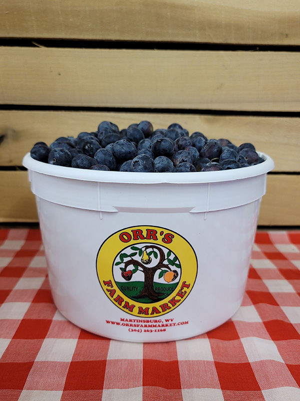 Blueberry Bucket