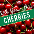 Pick Your Own Cherries