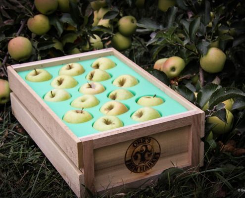 Apple Bin