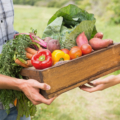 Farmer giving box of veg to customer on a sunny day