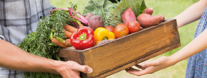 Farmer giving box of veg to customer on a sunny day