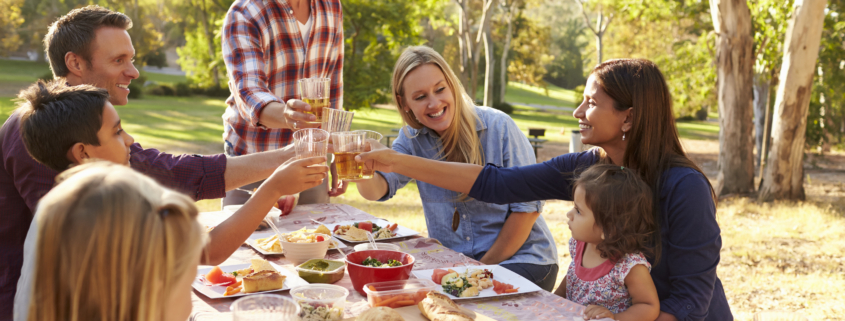 Two families making a toast at picnic at a table in a park