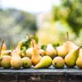 Autumn pears on wood