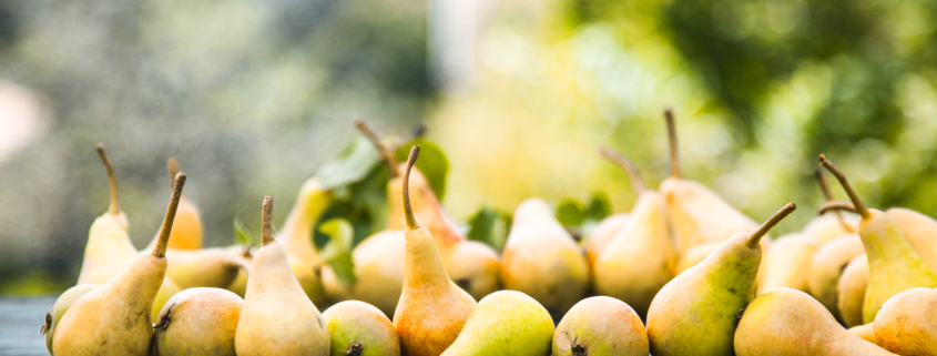 Autumn pears on wood