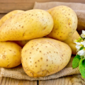 Potatoes yellow with flower on sacking