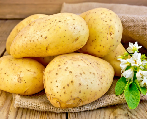 Potatoes yellow with flower on sacking