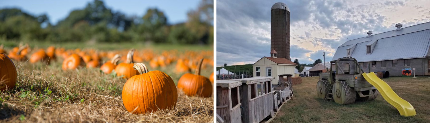 orrs-pumpkin-patch-playgound