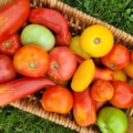 tomatoes in a basket