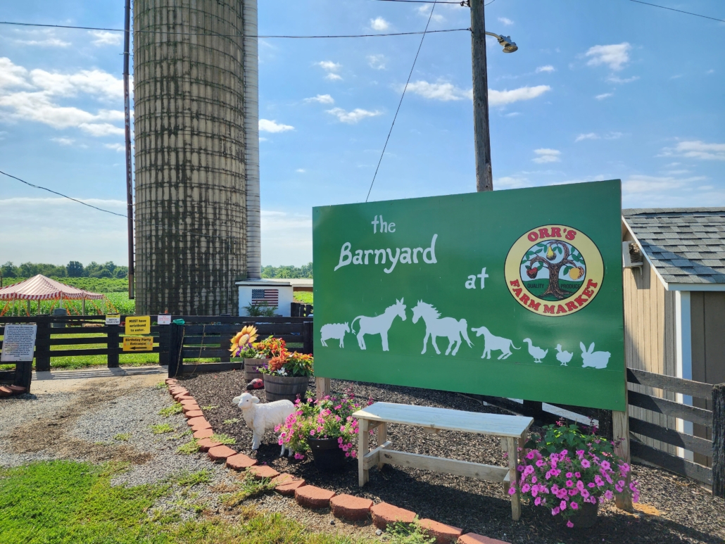 The Barnyard