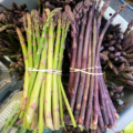 Asparagus