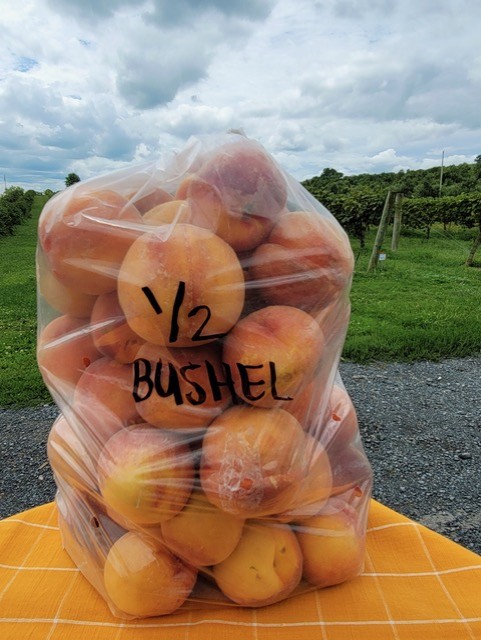 Bushel of Peaches