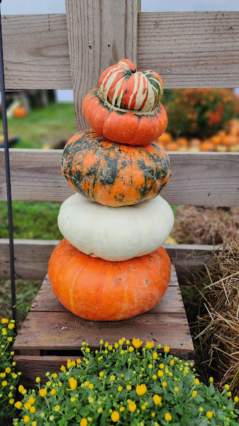 Pumpkin Stacks