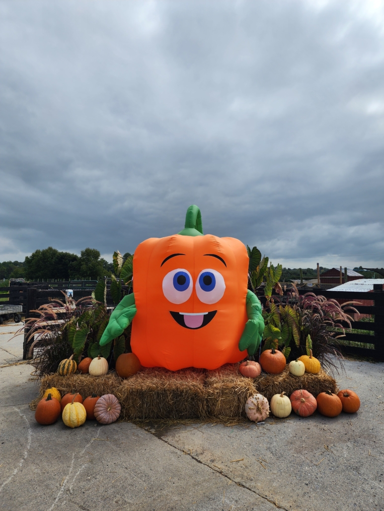 Spookley the Square Pumpkin