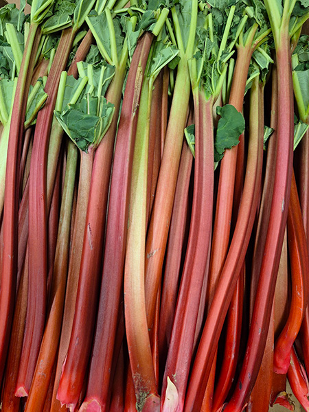 Rhubarb