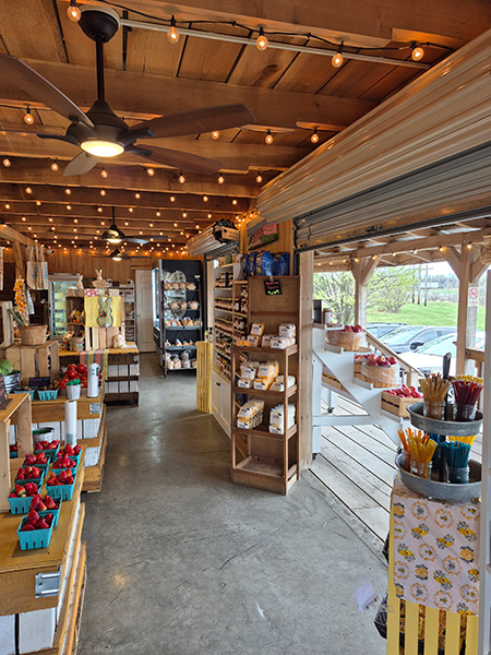 Satellite Store