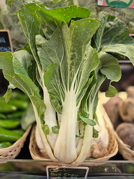 Bok Choy