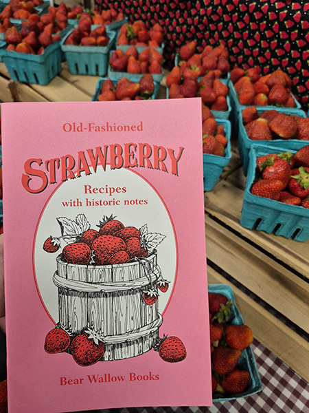 Strawberry Recipes