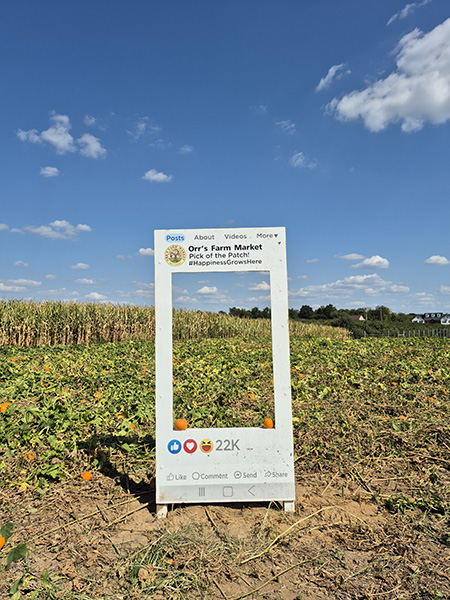 Pick of the Patch Frame