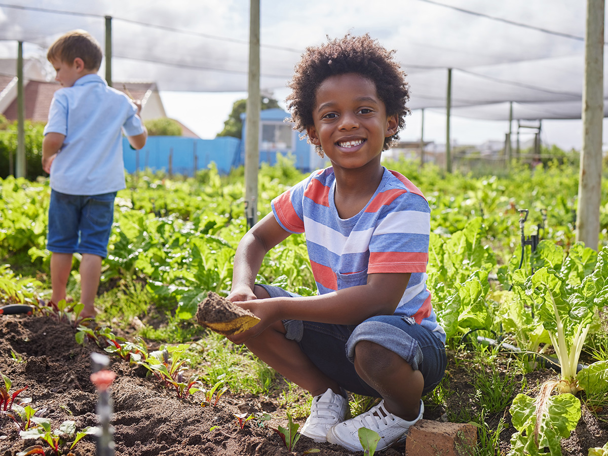 Gardening