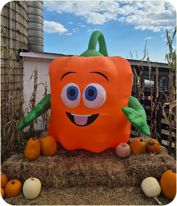 Spookley the Square Pumpkin