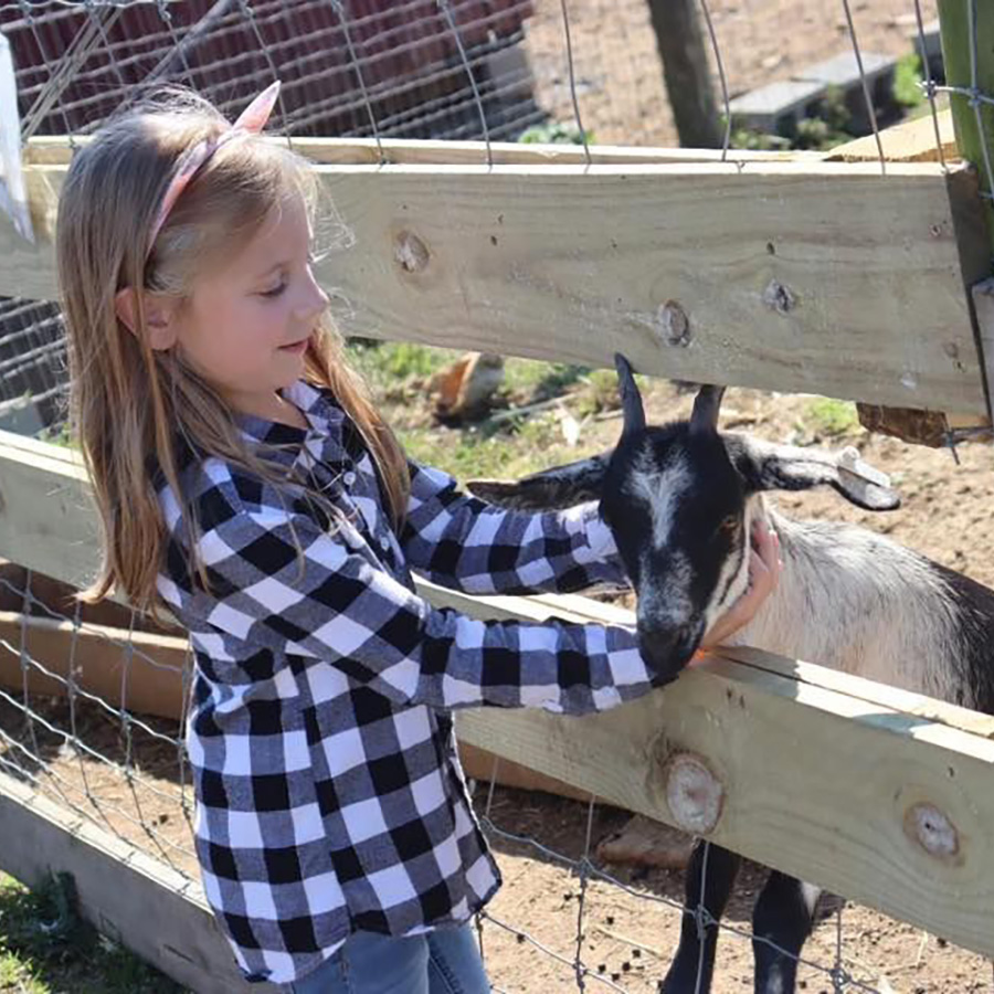 Girl with Goat