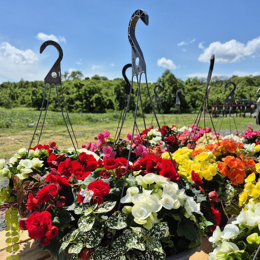 Hanging Baskets