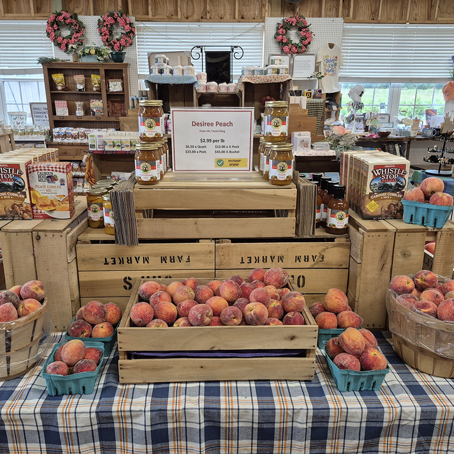 Peaches Peaches