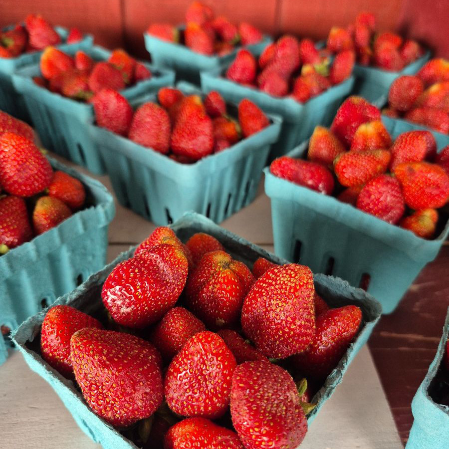Strawberries