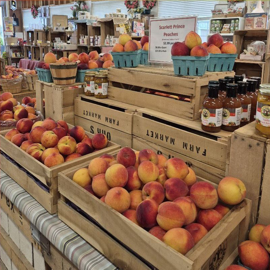 Peaches Peaches