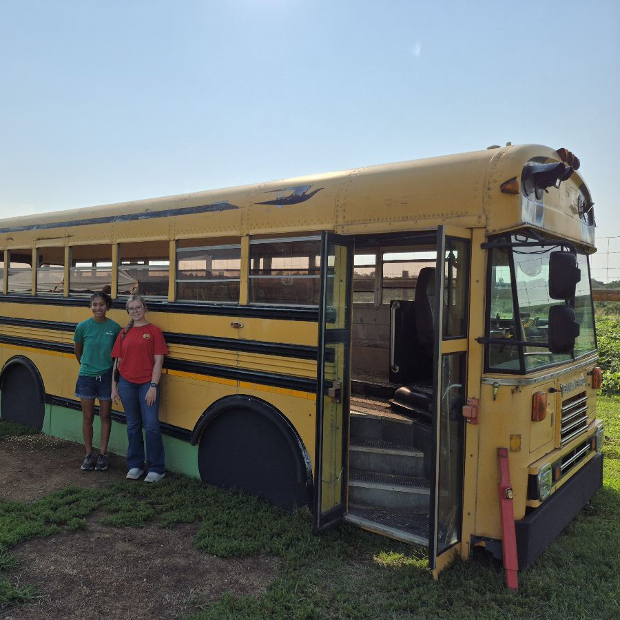 Corn Play Bus Corn Play Bus