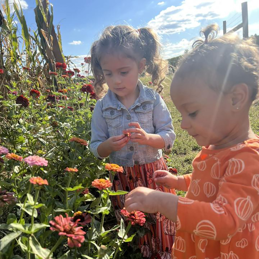 Flower Picking at the Pumpkin Patch Flower Picking at the Pumpkin Patch