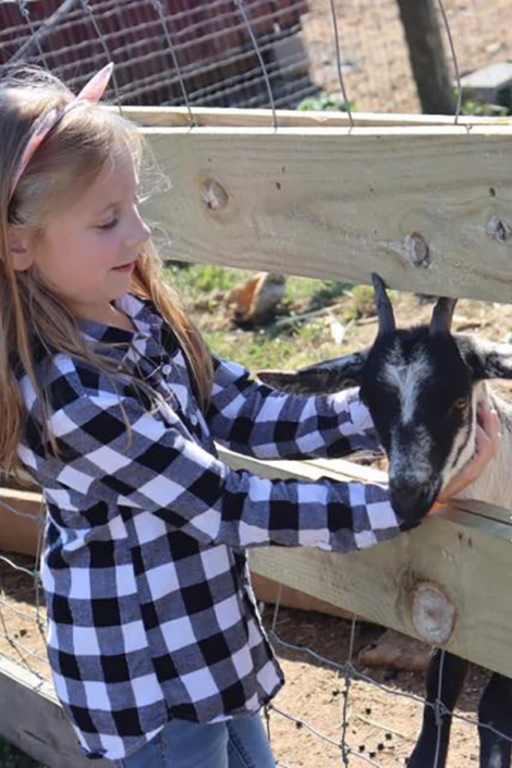 Petting Goats Petting Goats