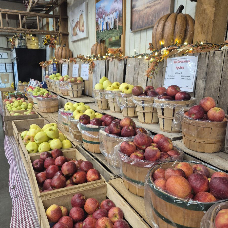 Orr's Apples