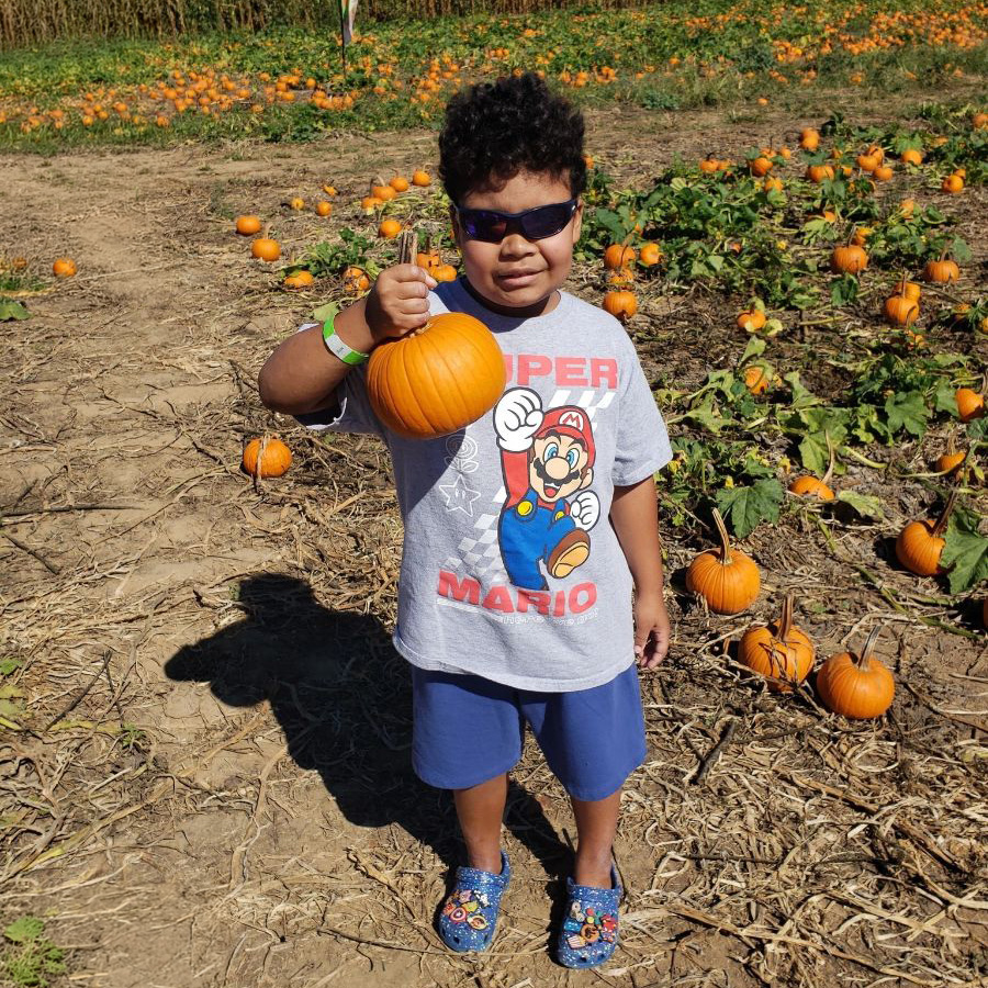 Pumpkin Patch Pumpkin Patch