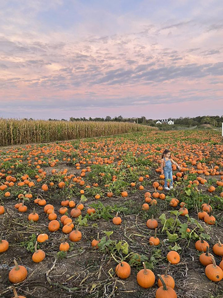 Sunset at the Pumpkin Patch