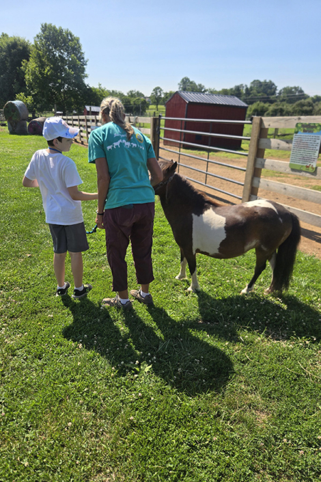 Feeding a Pony