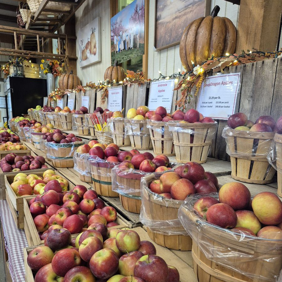 Orr's Apples Orr's Apples